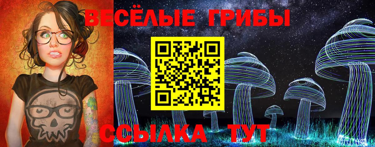 Галлюциногенные грибы Psilocybe Санкт-Петербург