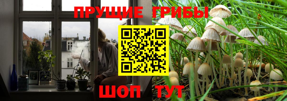 Псилоцибиновые грибы Magic Shrooms  Вход с VPN  Санкт-Петербург 